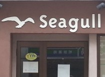 seagul20160727